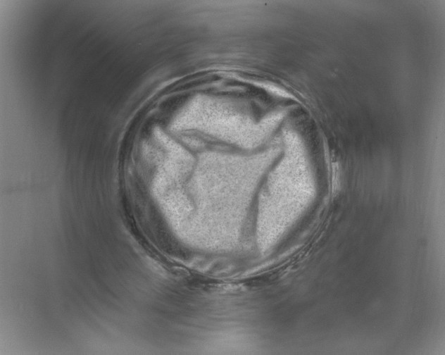 X0000074280243200609222250