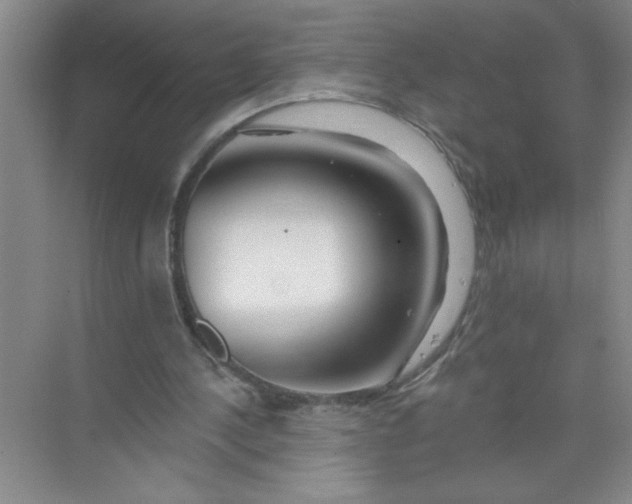 X0000074280244200609222250