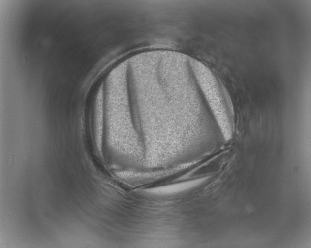 X0000074280247200609222250