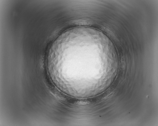 X0000074280255200609222251