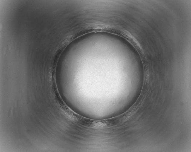 X0000074280257200609222251