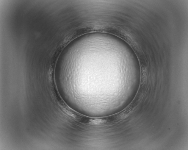 X0000074280269200609222251