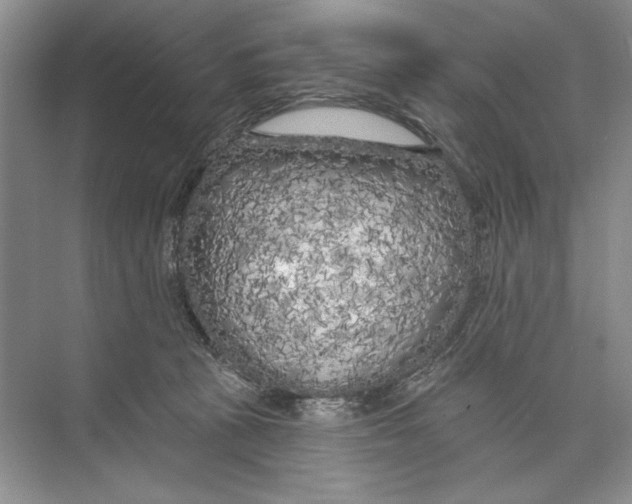 X0000074280273200609222251