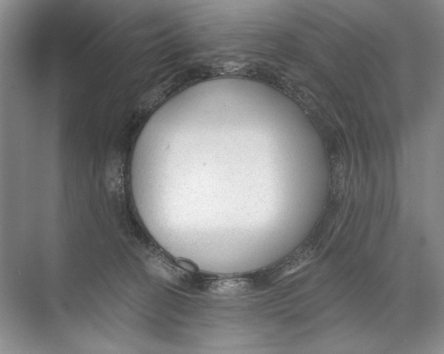 X0000074280274200609222251