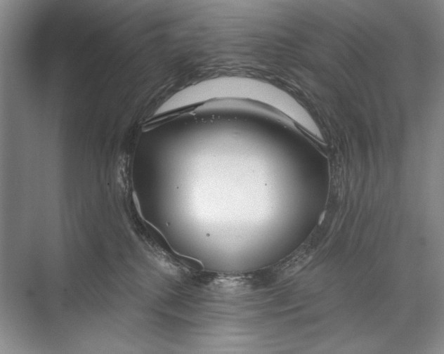 X0000074280280200609222251