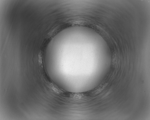 X0000074280282200609222251