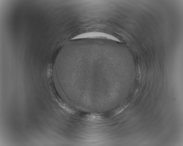 X0000074280284200609222251
