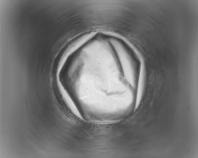 X0000074280290200609222250