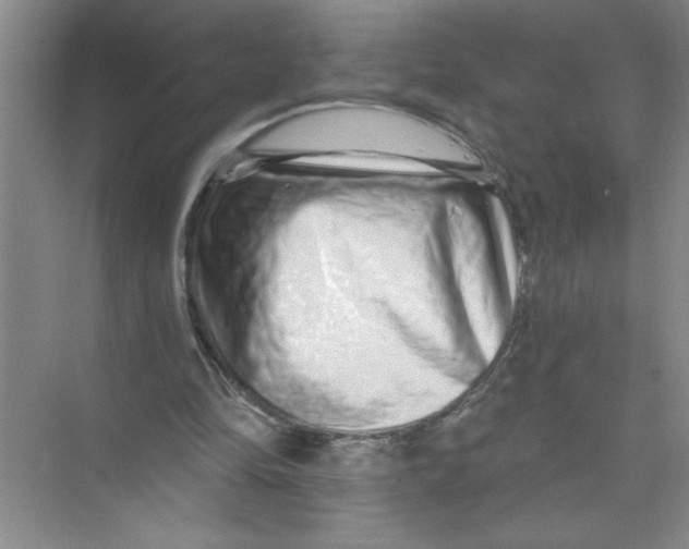 X0000074280294200609222250