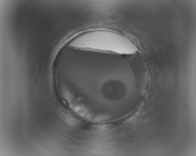 X0000074280295200609222250