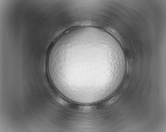 X0000074280301200609222250