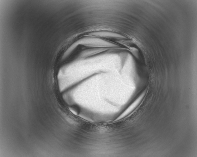X0000074280302200609222250
