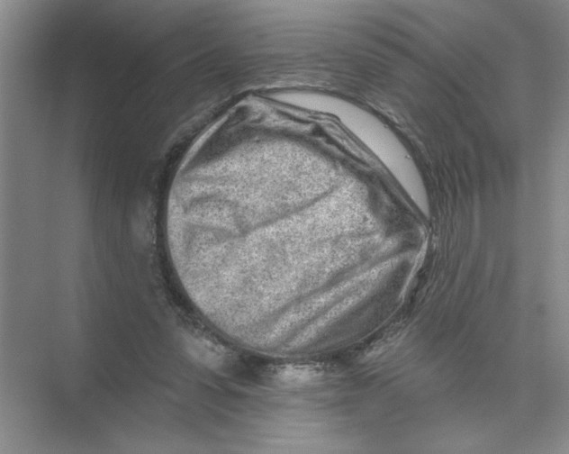 X0000074280303200609222250