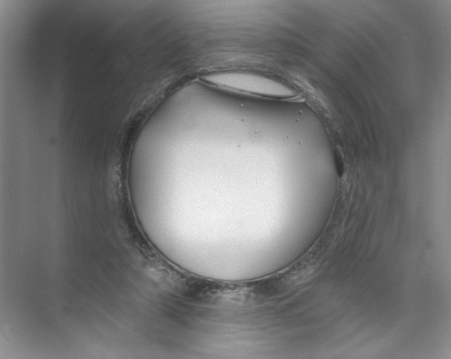 X0000074280306200609222250