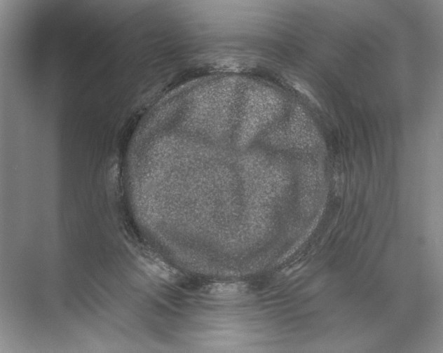X0000074280314200609222250
