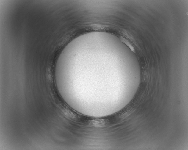 X0000074280317200609222250