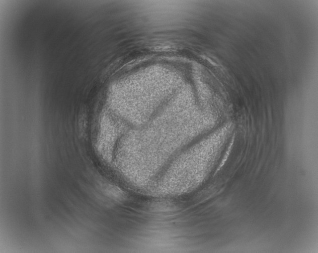 X0000074280322200609222250