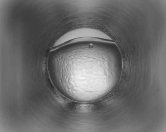 X0000074280323200609222250