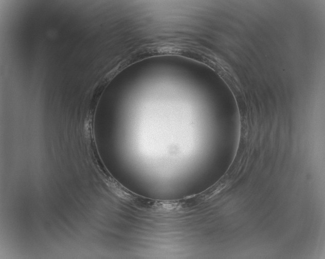 X0000074280329200609222250