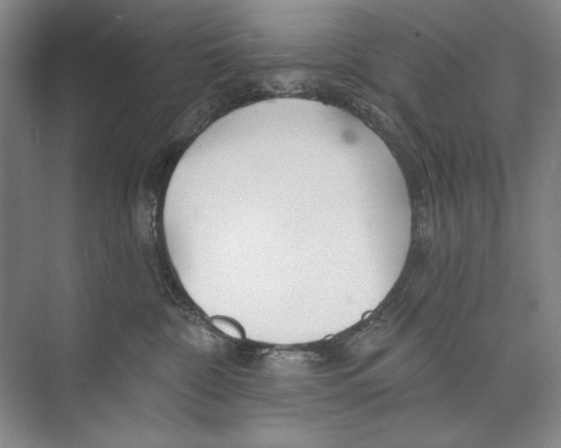 X0000074280332200609222250