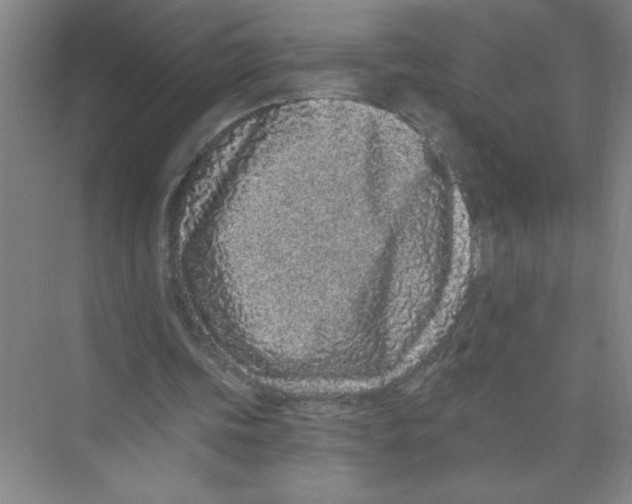 X0000074280339200609222249