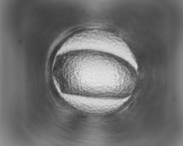 X0000074280343200609222249