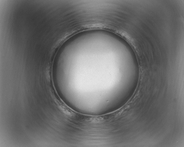 X0000074280345200609222249