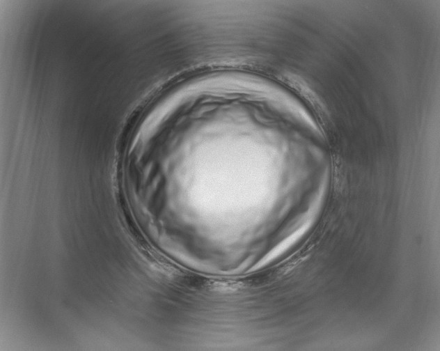 X0000074280346200609222249