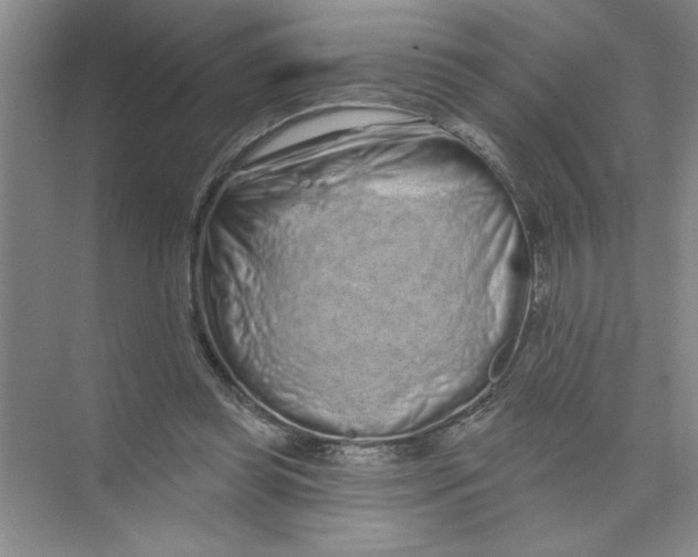 X0000074280349200609222249