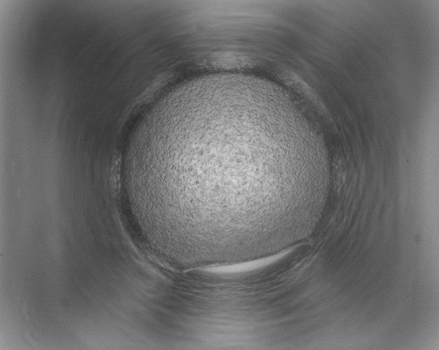 X0000074280356200609222249
