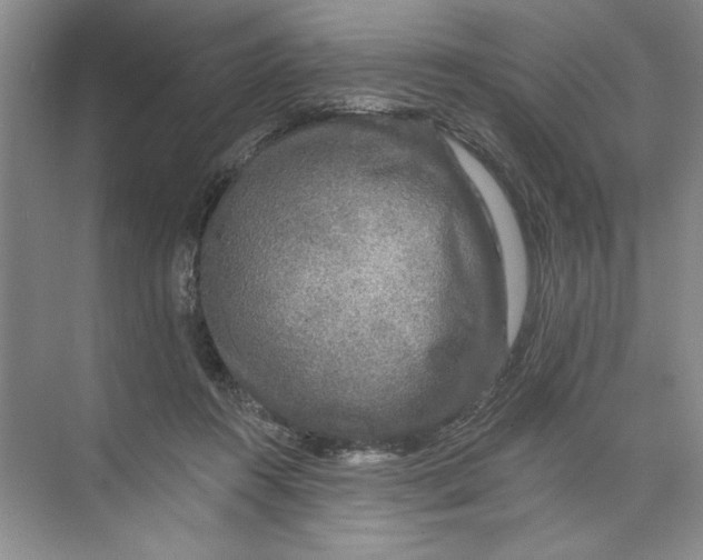 X0000074280360200609222249