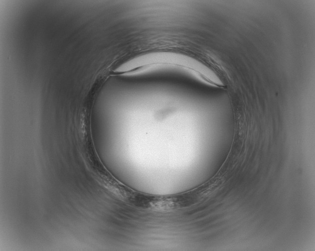 X0000074280362200609222249