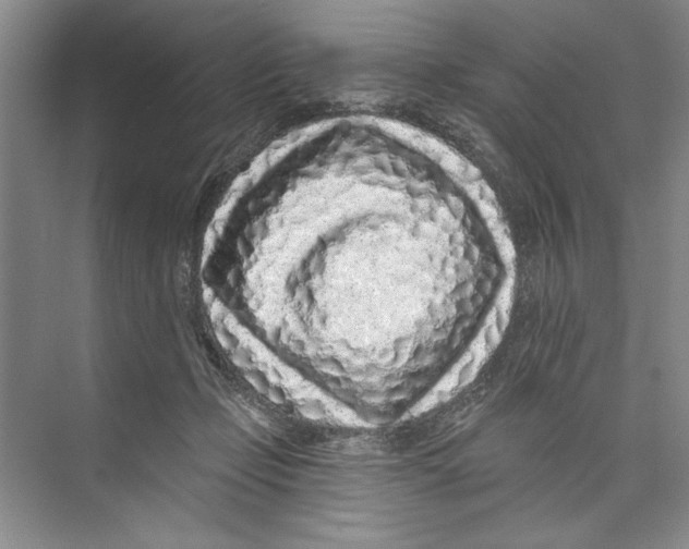 X0000074280365200609222249