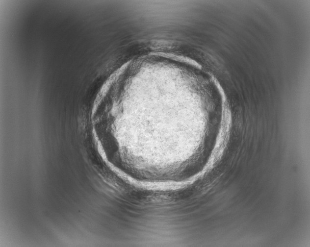 X0000074280367200609222249