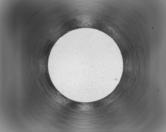 X0000074280370200609222249