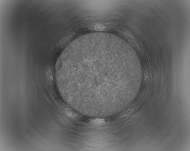 X0000074280374200609222249