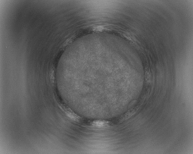 X0000074280375200609222249