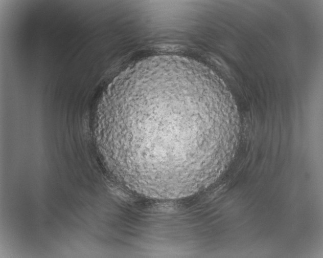 X0000074280377200609222249