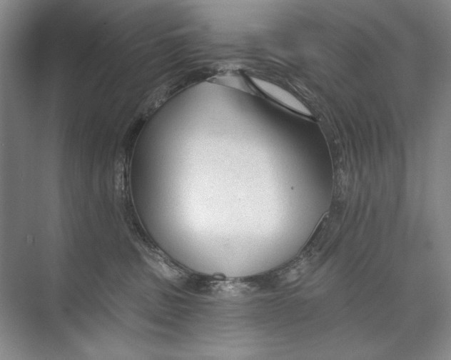 X0000074280379200609222249