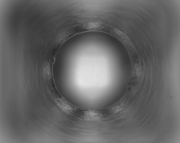 X0000074280380200609222249