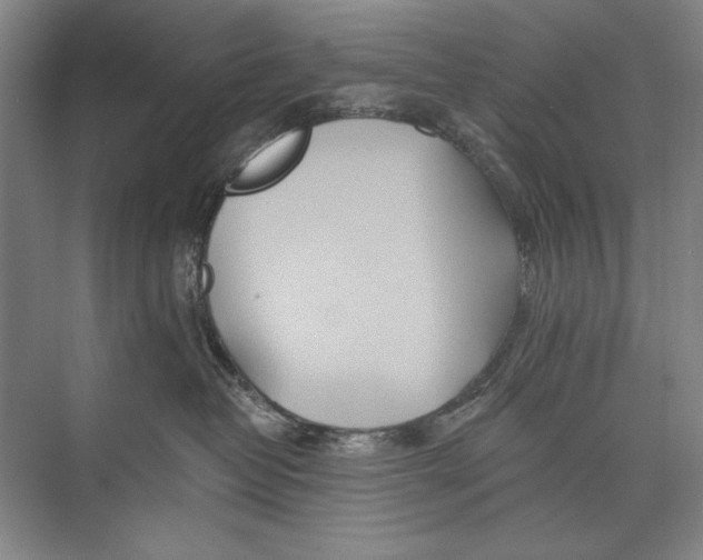 X0000074280382200609222249