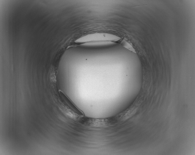 X0000074280384200609222249