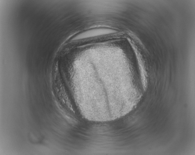 X0000074280386200609222249