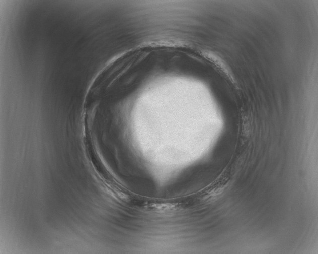 X0000074280395200609222249