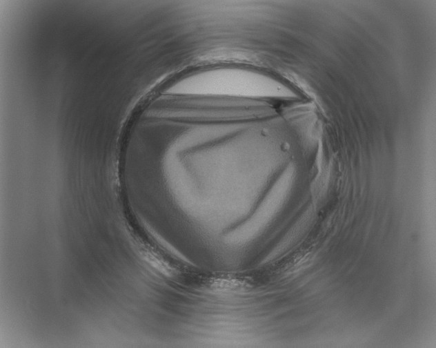X0000074280399200609222248