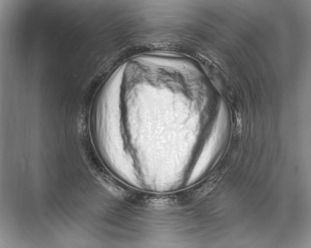 X0000074280408200609222248