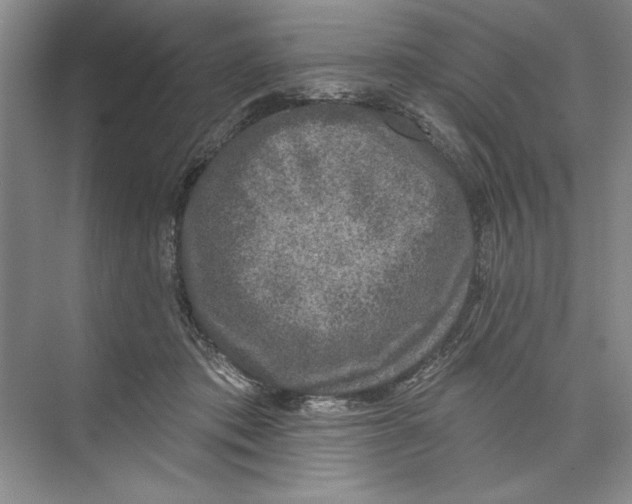 X0000074280413200609222248