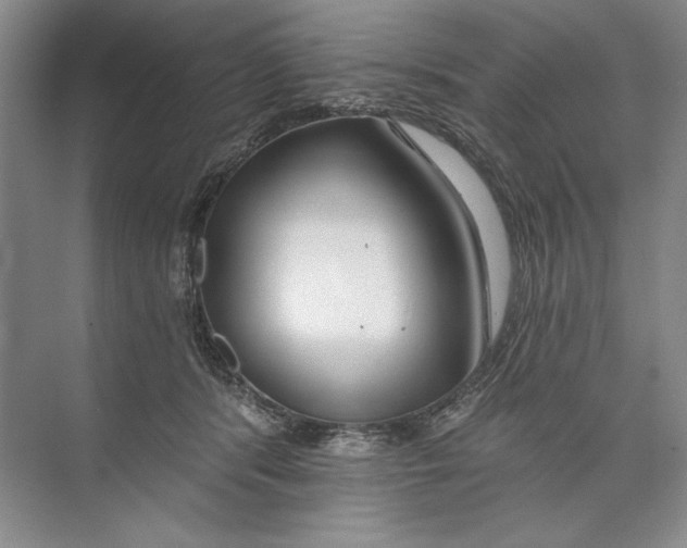 X0000074280416200609222248