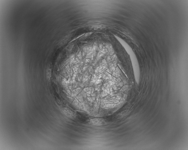 X0000074280417200609222248
