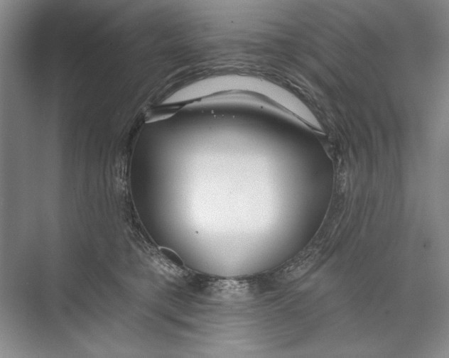 X0000074280421200609222248